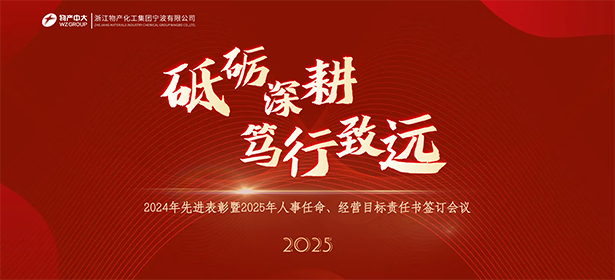 砥礪深耕 篤行致遠(yuǎn)——2024年先進(jìn)表彰暨2025年人事任命、經(jīng)營(yíng)目標(biāo)責(zé)任書簽訂會(huì)議
